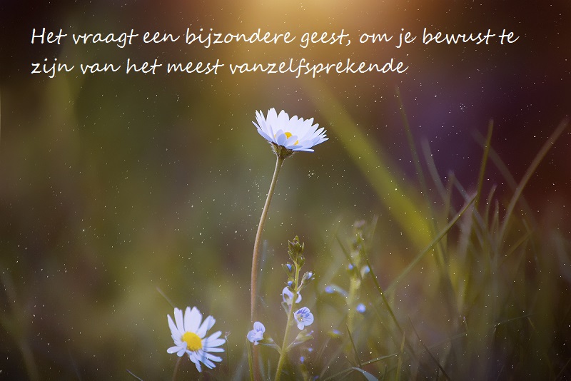 Het vraagt een bijzondere geest, om je bewust te zijn van het meest vanzelfsprekende