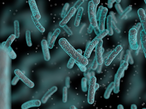 closeup image of bacteria, Verdi Towels are germ resistant