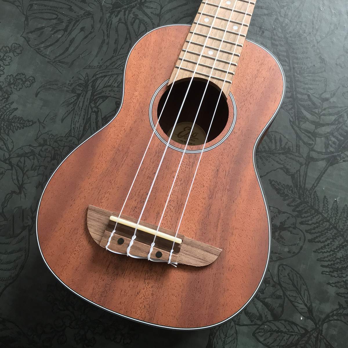 EKO sopraan ukulele