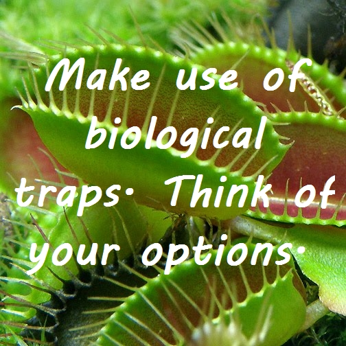biological traps graphic