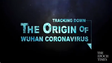 Documentary graphic; The origin of the wuhan coronavirus