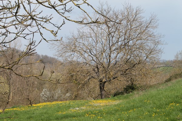 IMG_2031 600 x 400jpg
