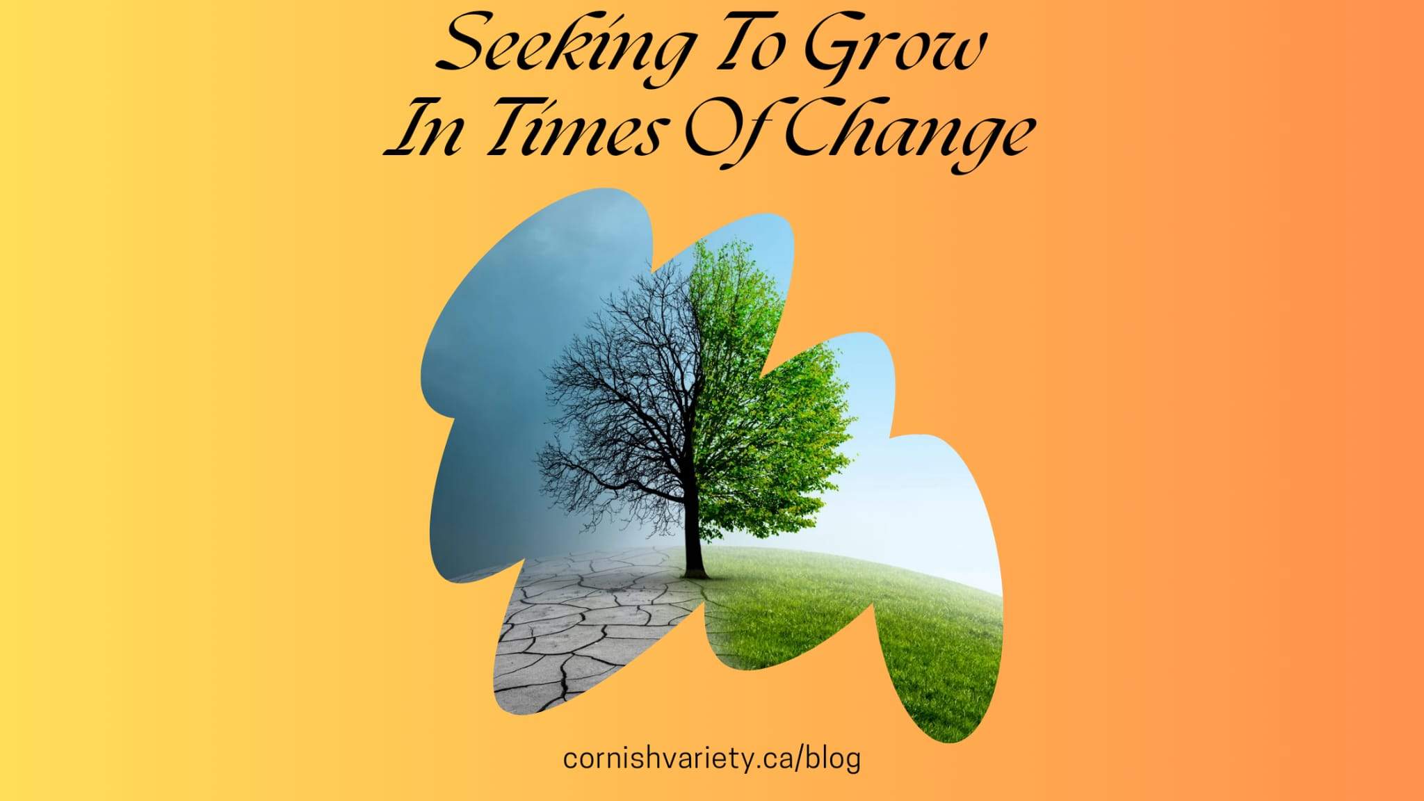 Seeking To Grow In Times of Change