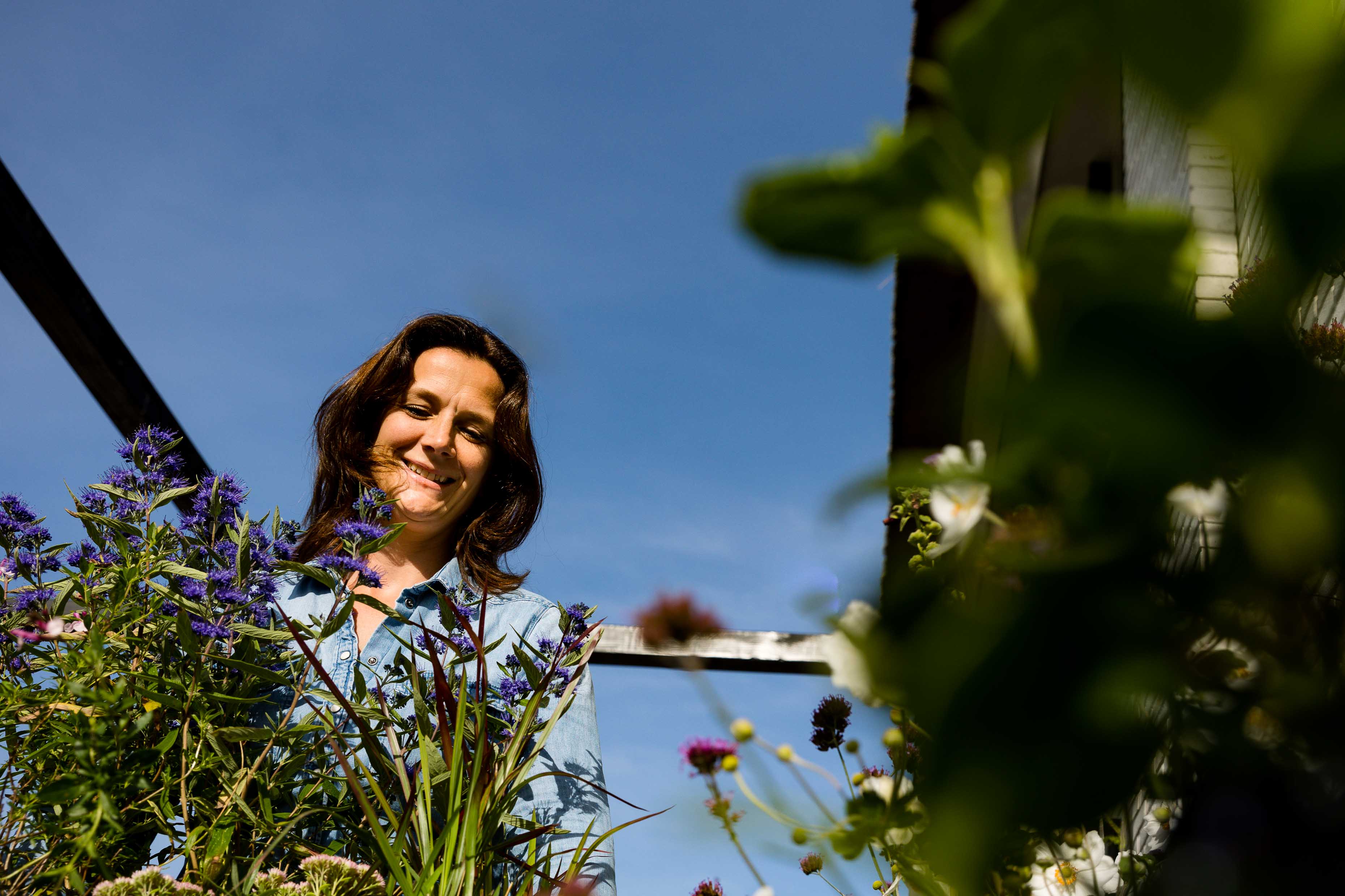 border tuin aanleggen