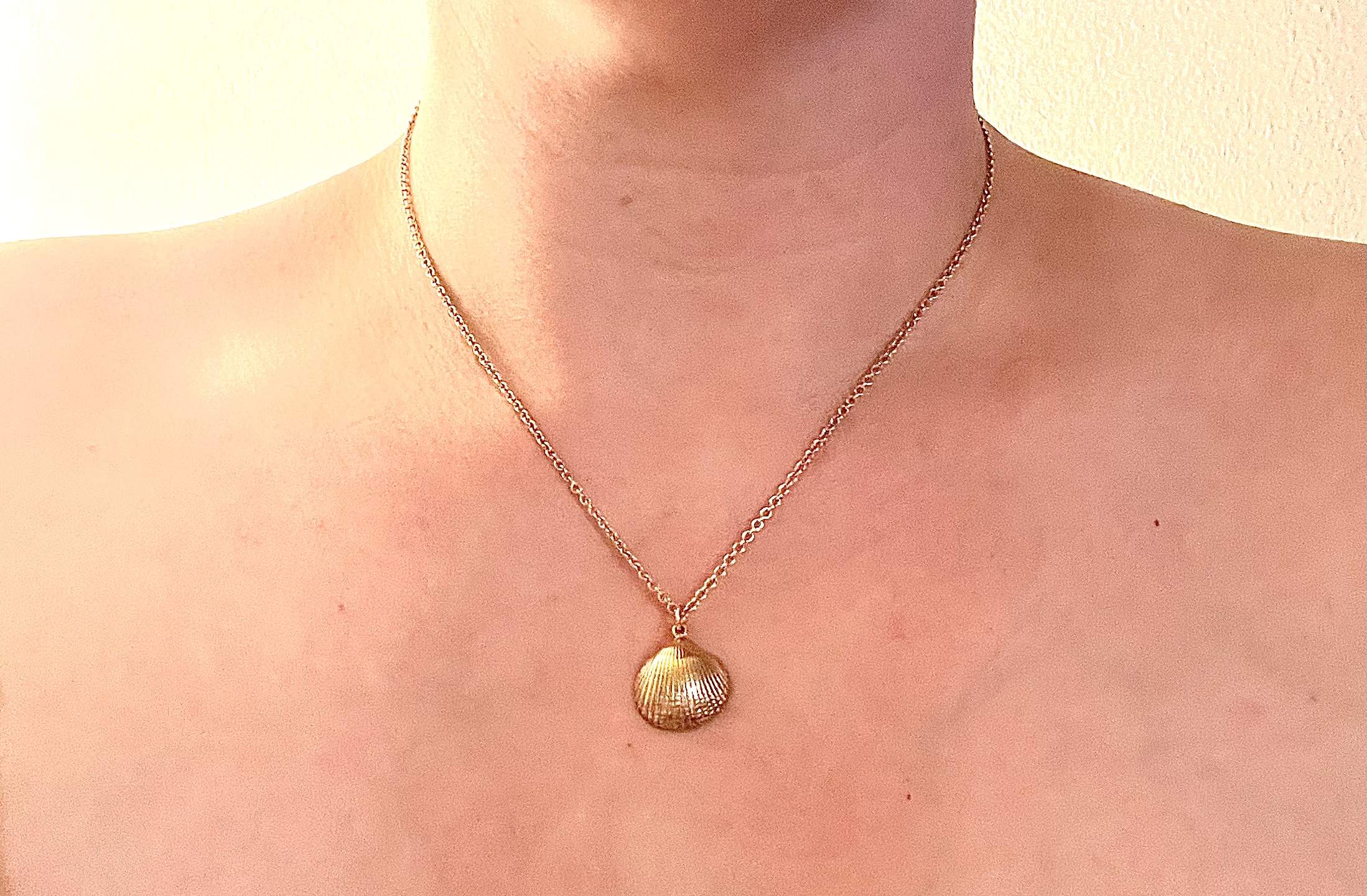 Shell pendant on chain (large)