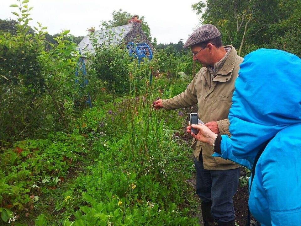 Tanguy teaching in the garden at Dunmore Country School