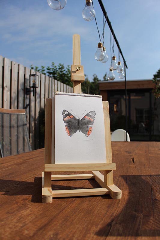 Atalanta vlinder aquarel origineel op schildersezeljpg