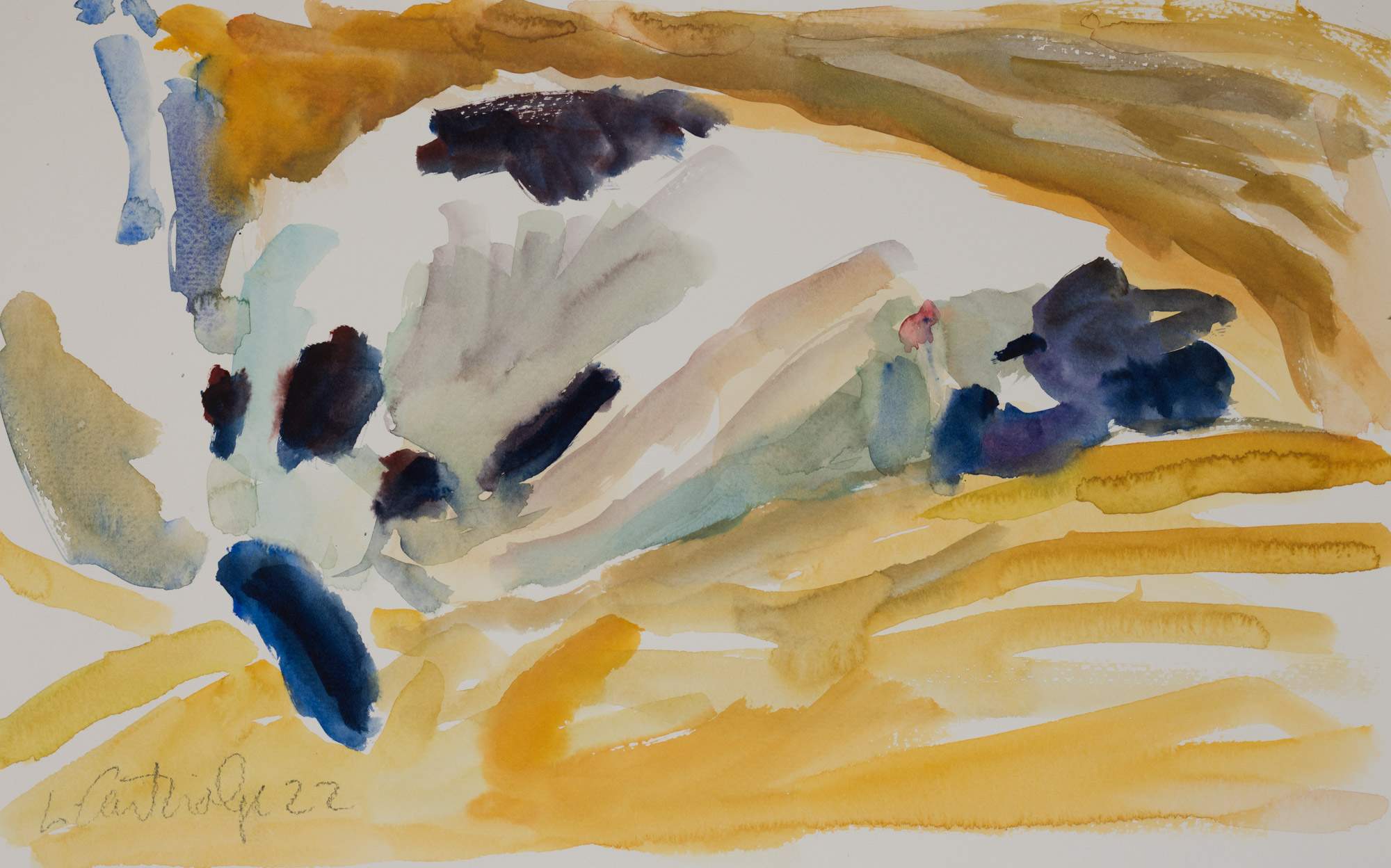 Water Colour: Cat Study (2022-305)