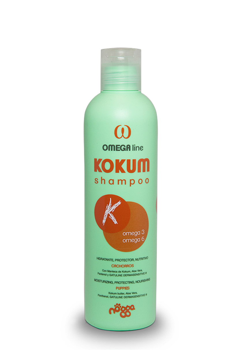 Nogga Kokum shampoo
