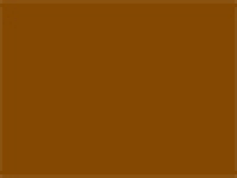 Rosco Supersaturated Paint Raw Sienna 5983 5 Litre