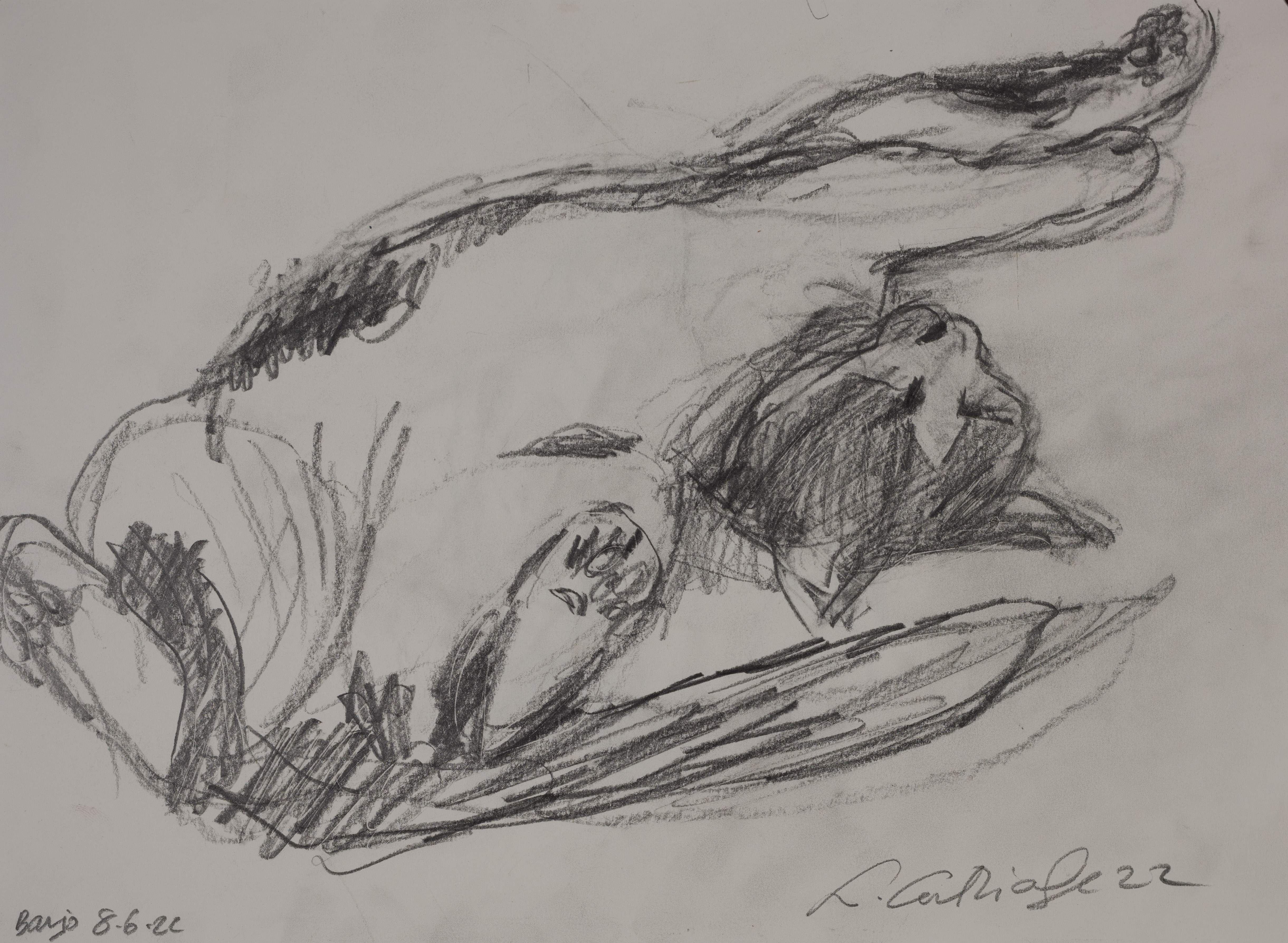 Drawing: Banjo the Cat (2022-310)