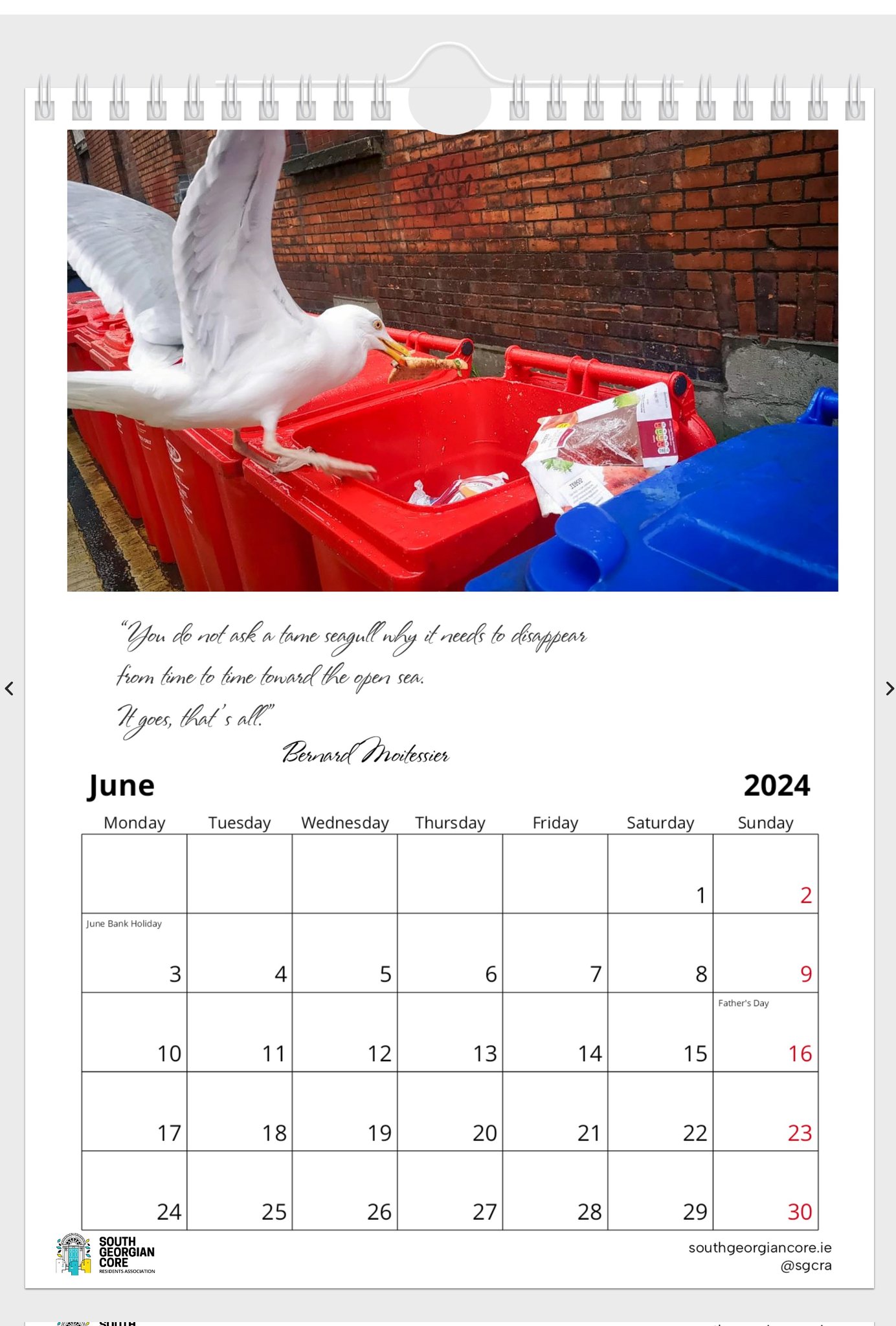 Seagull Calendar