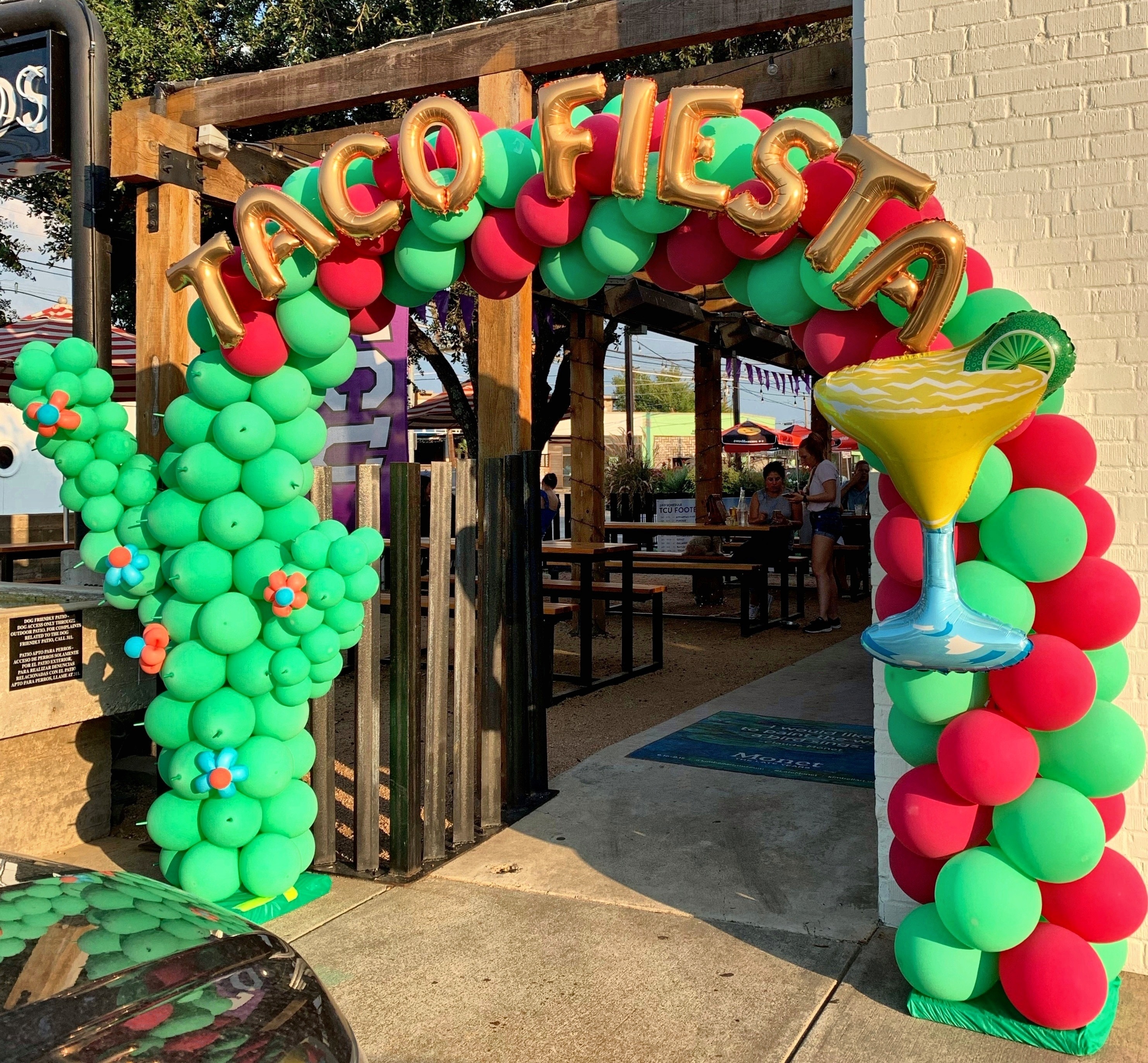 Outdoor balloon arch with cactus and margarita.