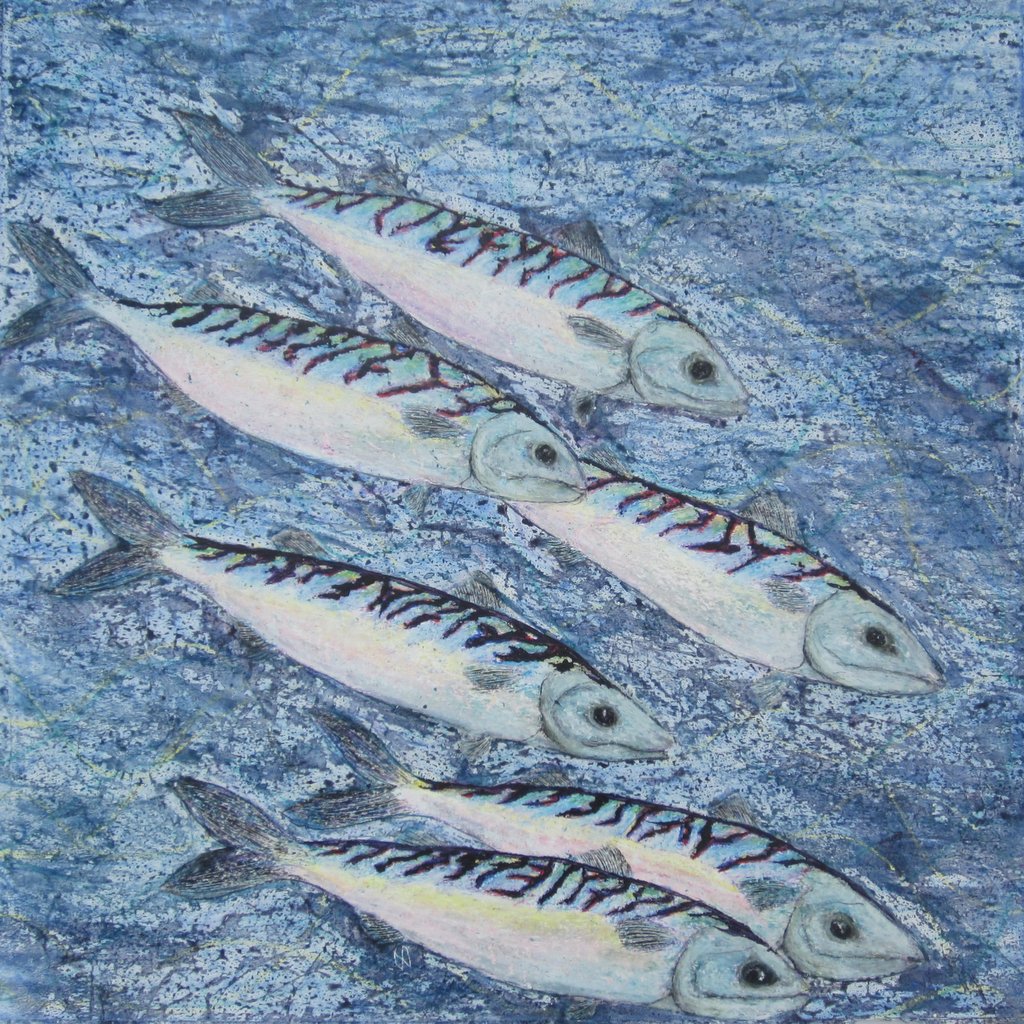 Mackerel, Dollar Bay II A shoal of mackerel