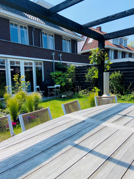 De pergola zal nog begroeien met Wisteria