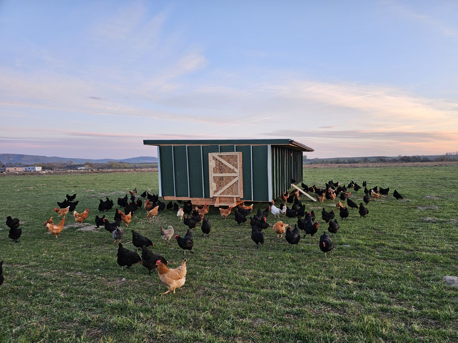 Home [riverstead.farm]