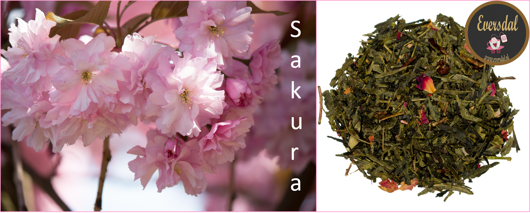 Kersenbloesem  (Sakura) - groene thee met kersenbloesem