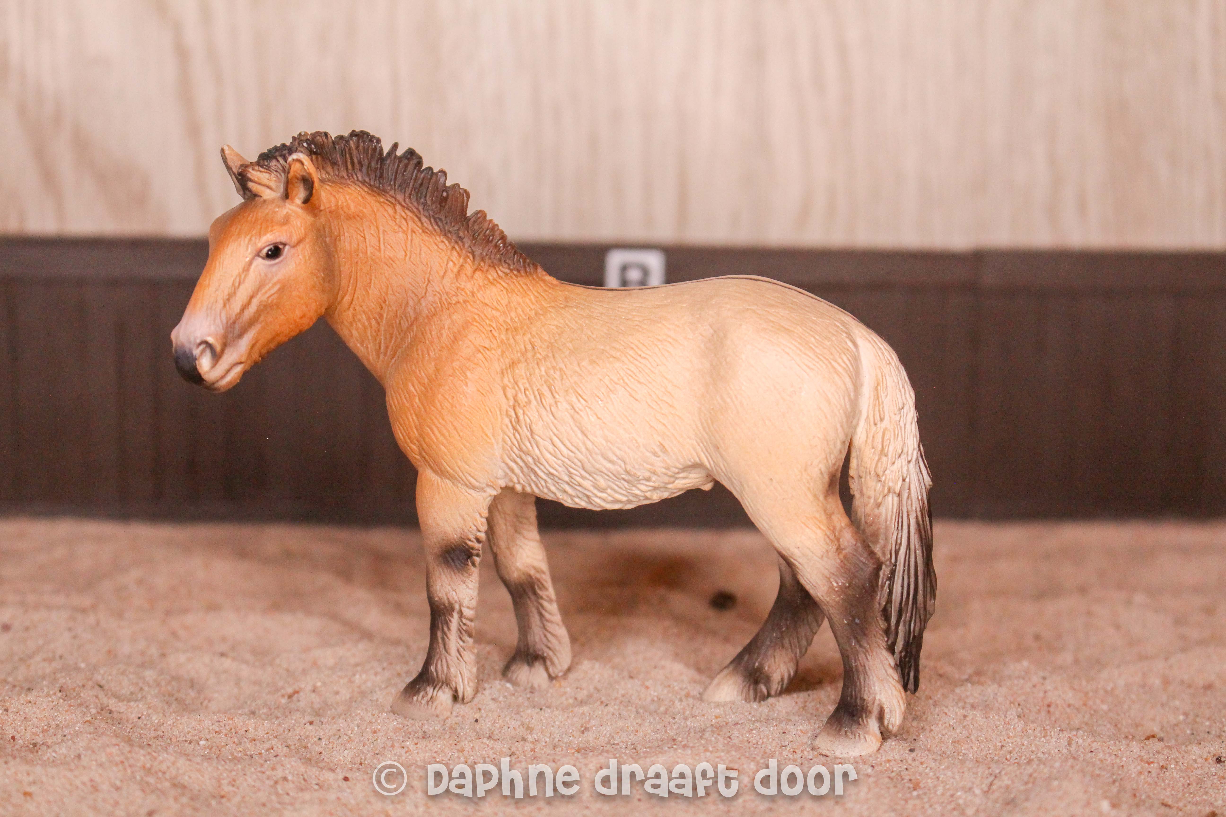 Schleich paard: Przewalski pony 13620