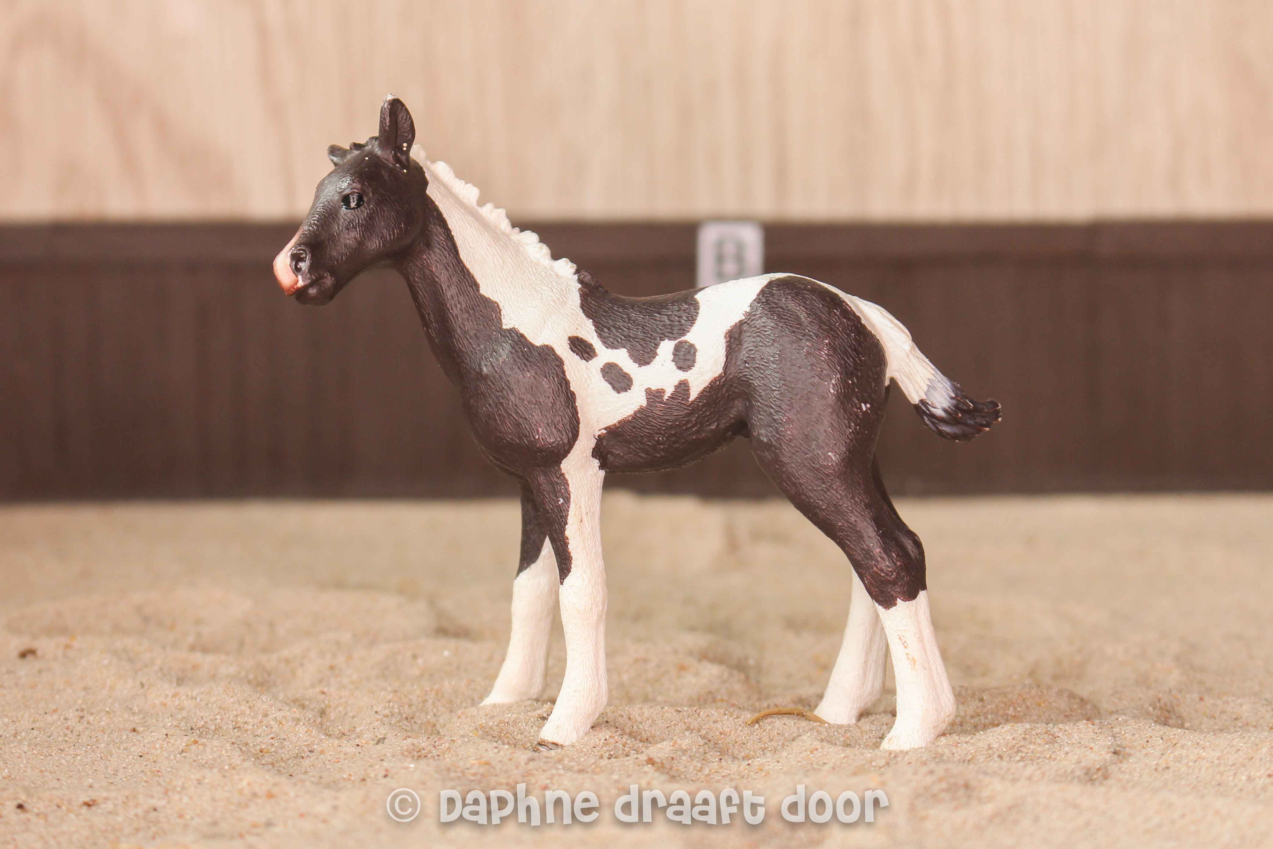 Schleich paard: Pinto veulen 13803