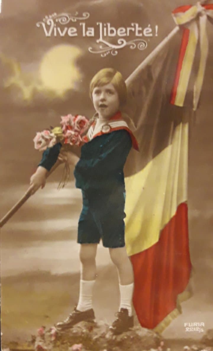belgische postkaart 11 november 1918 / vive la liberté