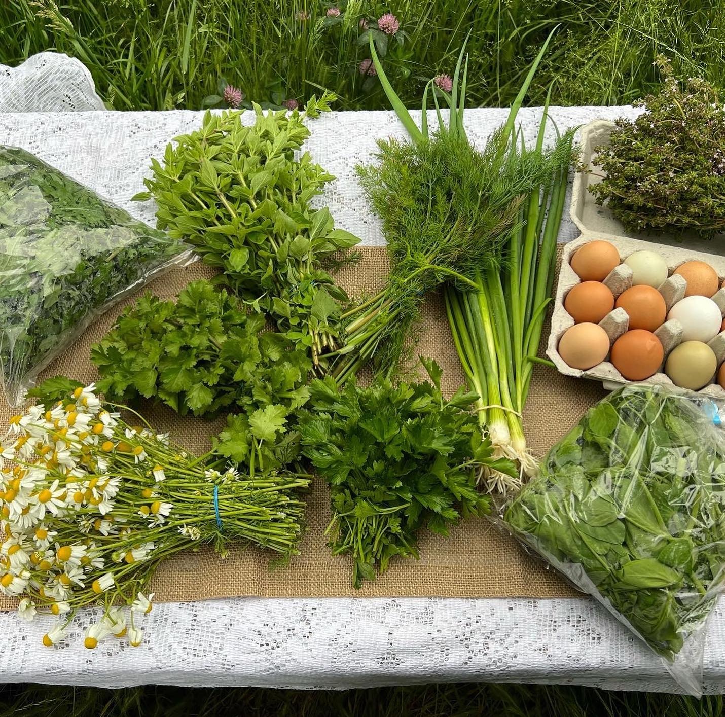 Green Goddess Dressing and Dip