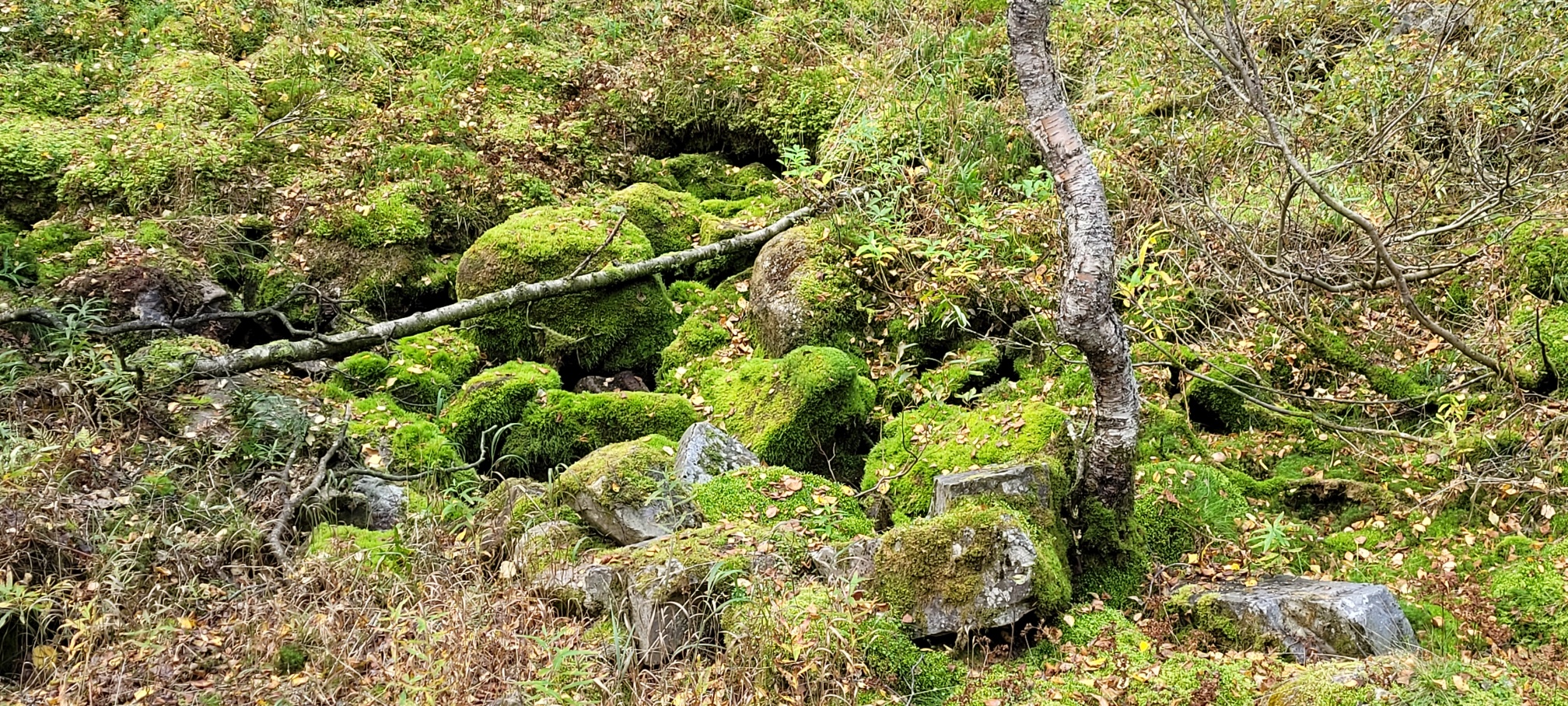 Finnland, per Anhalter, eine Illusion von Abenteurerinnen