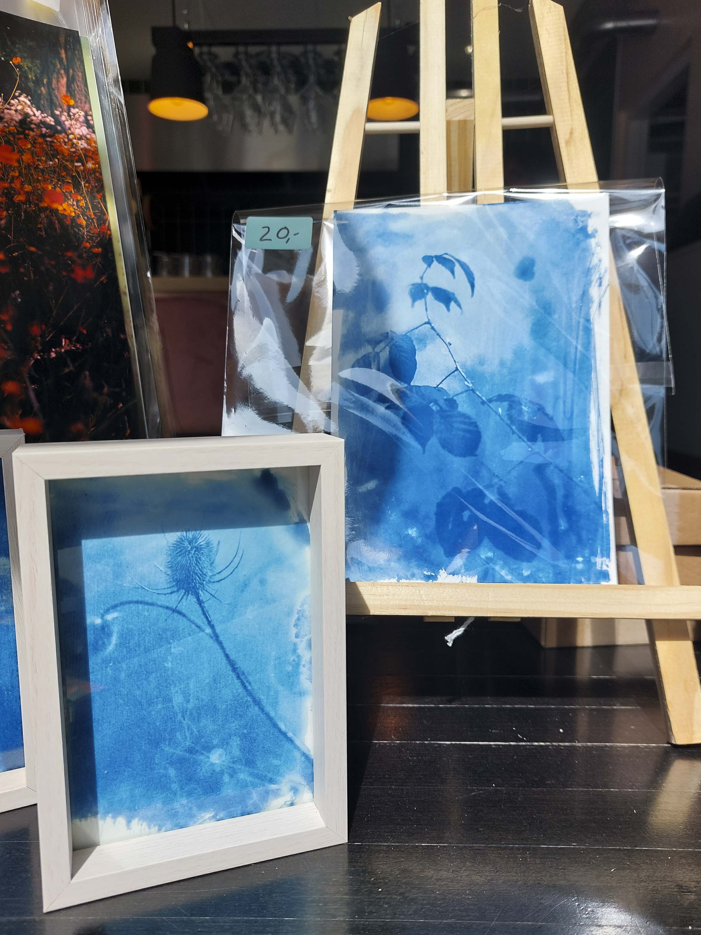Real unique one of a kind cyanotype in woodenframe