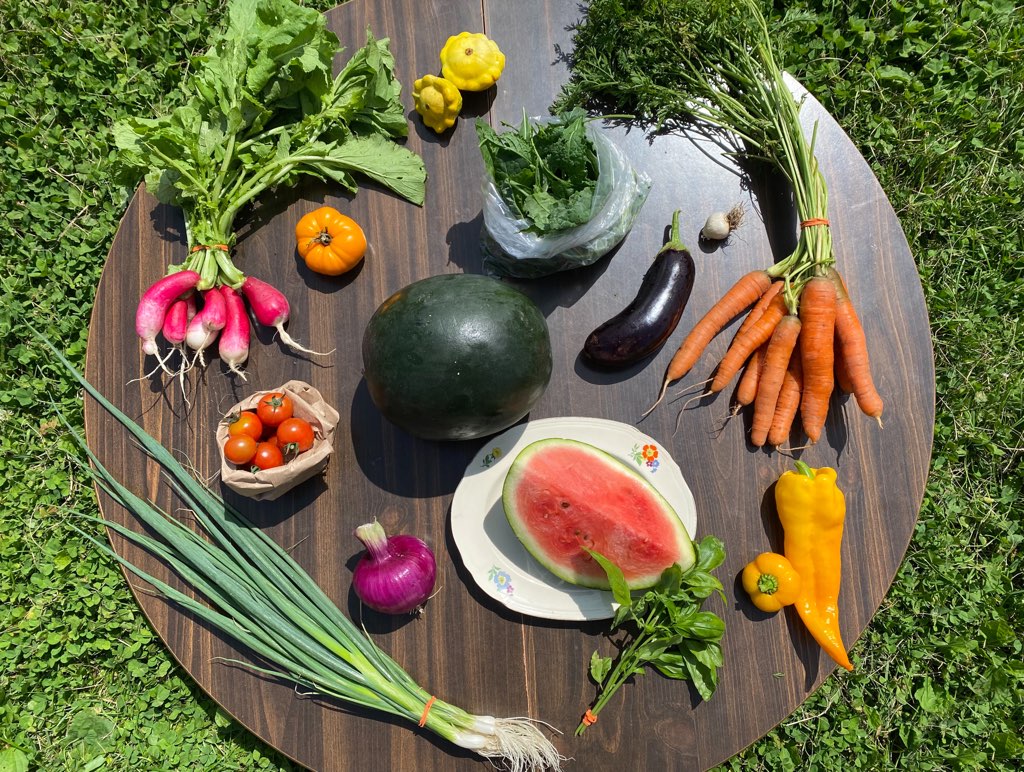 Eggplant, Patty Pans, Watermelon, Orange Beefsteak Tomato, Sweet Peppers, Mustard Greens