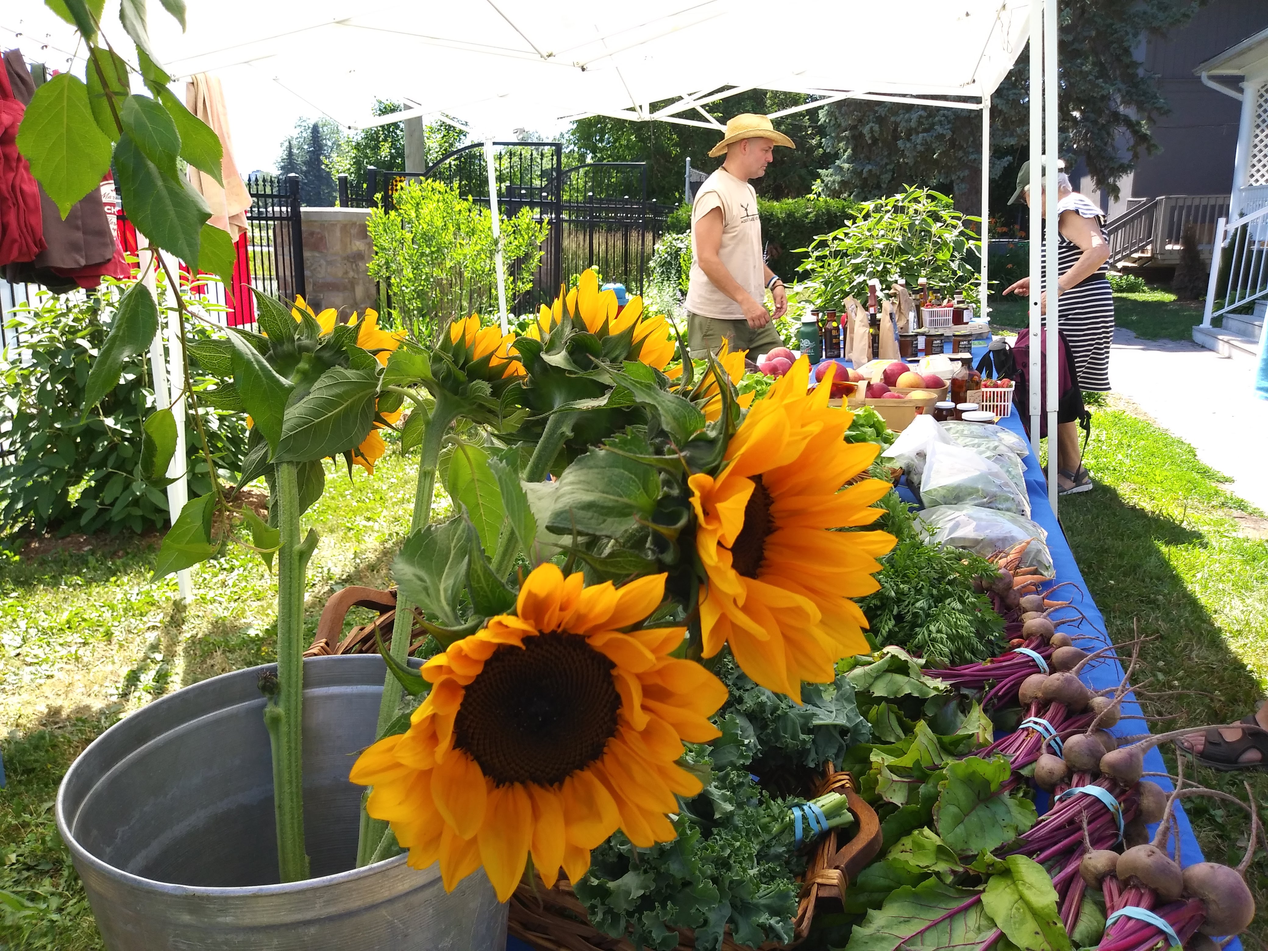 The importance of farmers' markets as food distributors