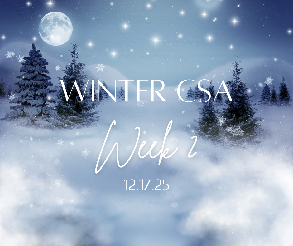 Winter CSA Week 2