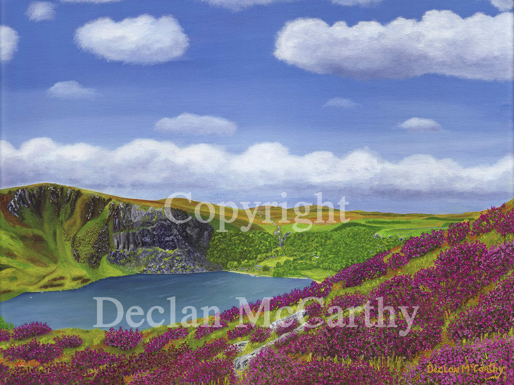 Purple heather, Lough Tay, Luggala & The Luggala Estate, Roundwood, Co. Wicklow. Garden of Ireland