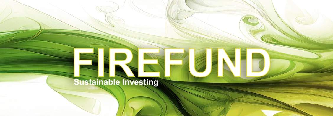 0.5% daily with Firefund Finance