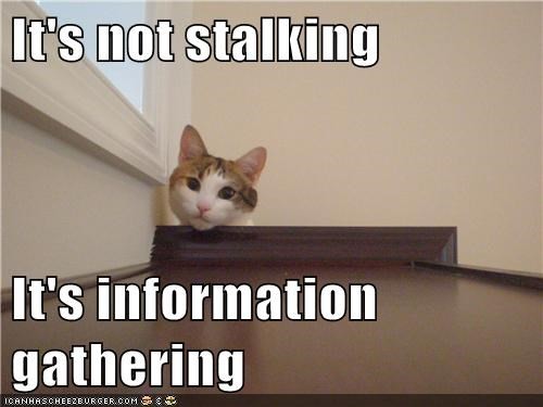 Its not stalkingjpg