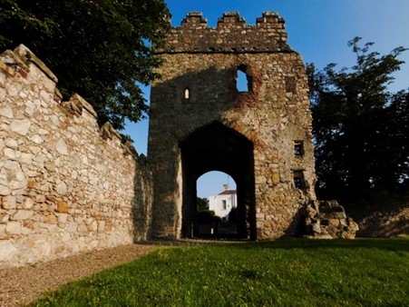 Monkstown Castle - 15th century Tower House