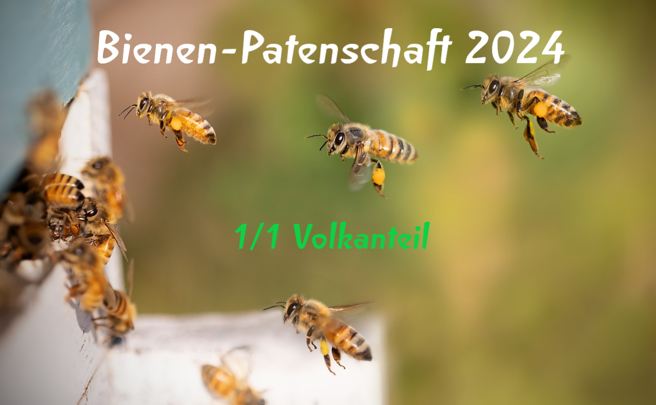 Bienen-Patenschaft 2024 - 1/1 Volkanteil