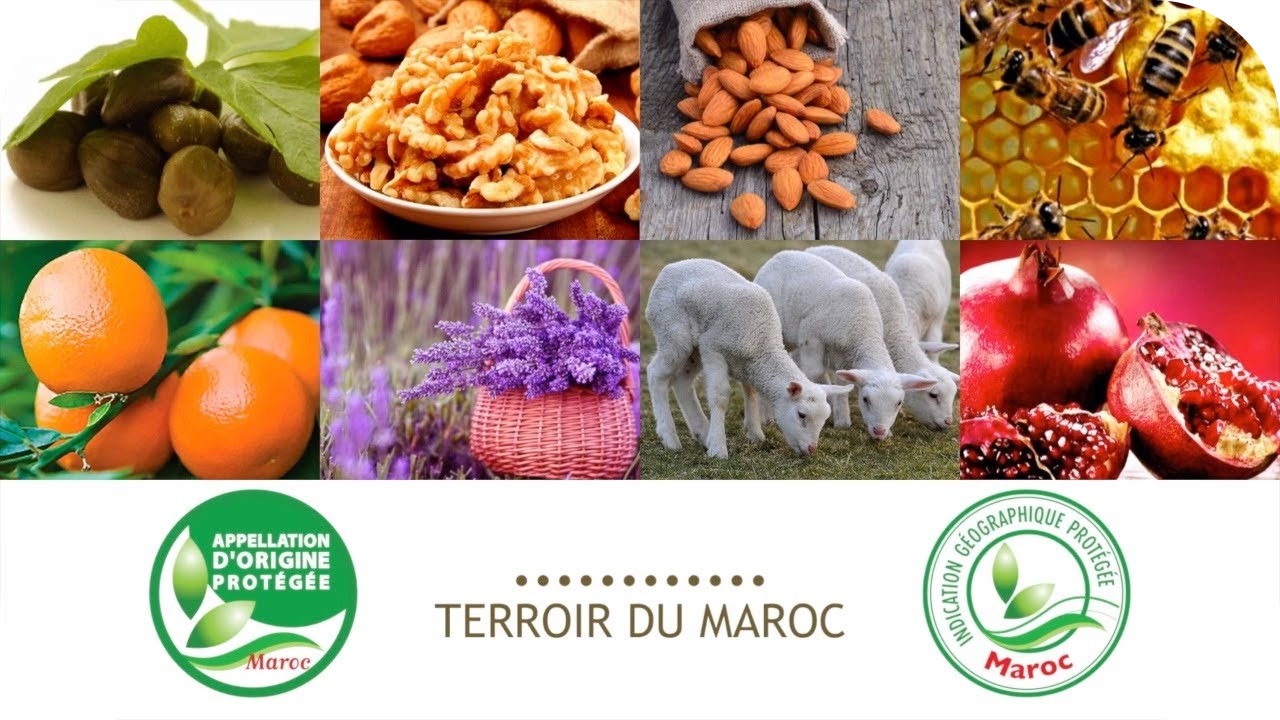 TERROIR AU MAROC label Certificat IGP Indication géographique protégée Maroc AOP Appellation d'origine protégée Maroc LE LABEL AGRICOLE