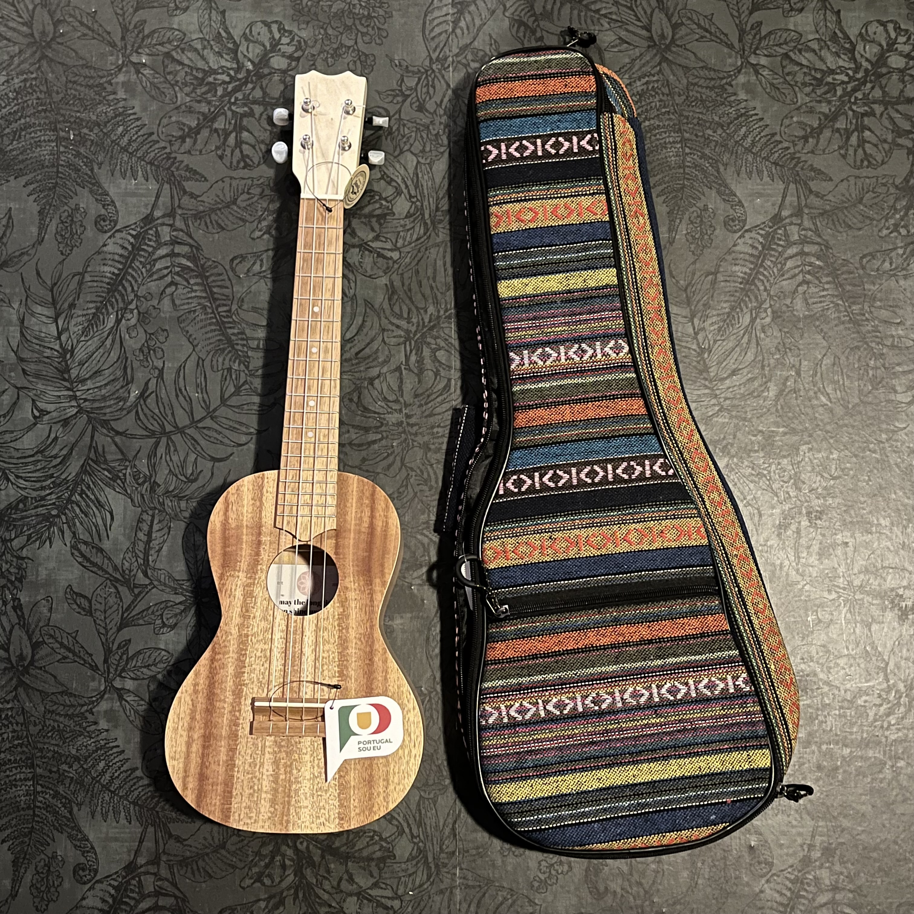Kleurrijke ukuleletas (concert)