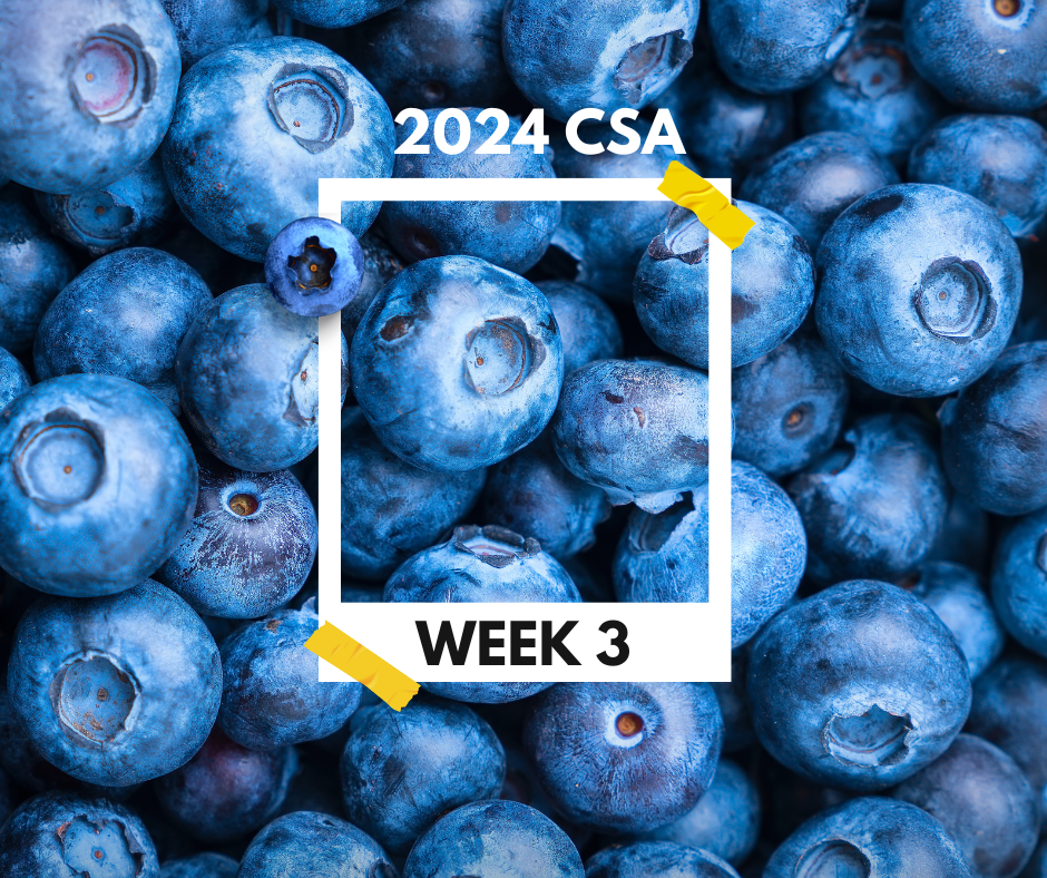 2024 CSA Week 3