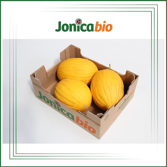 Jonica Bio Melone giallettojpg