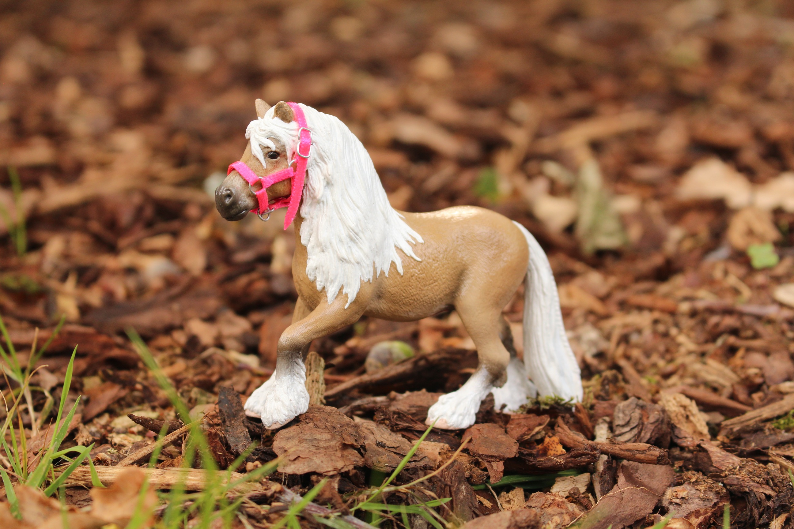 Een palomino repaint op de Fell pony merrie