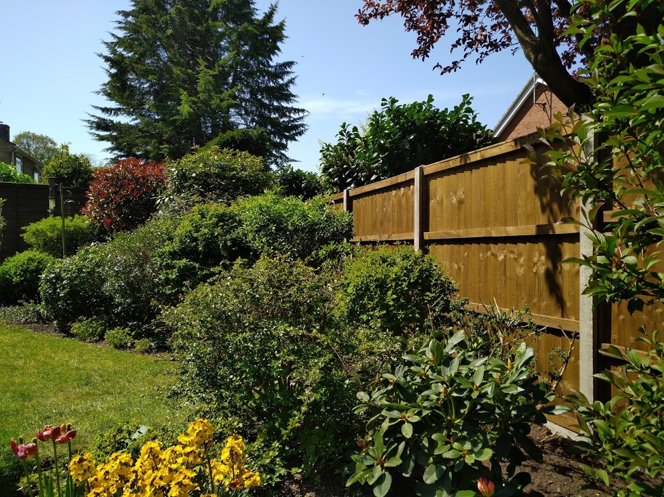 Final Fencing Farnham Fencing Contractor