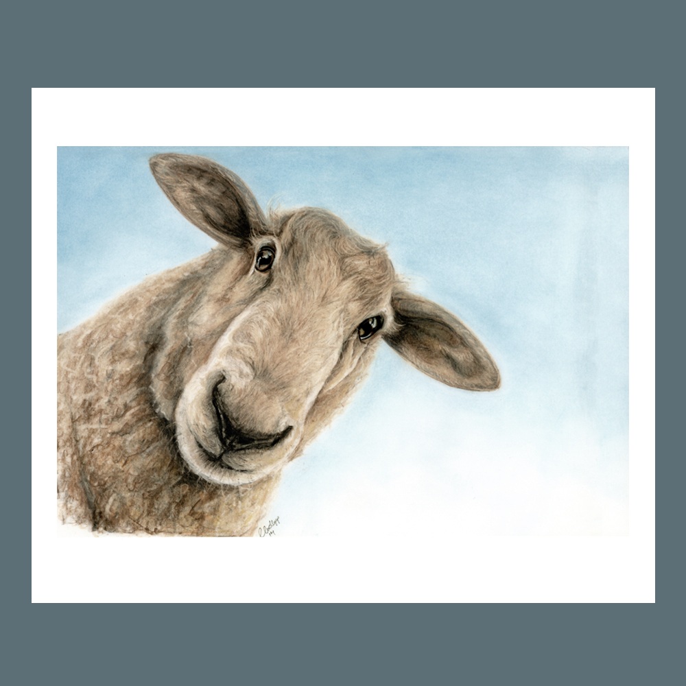 Sheep Pastel Painting