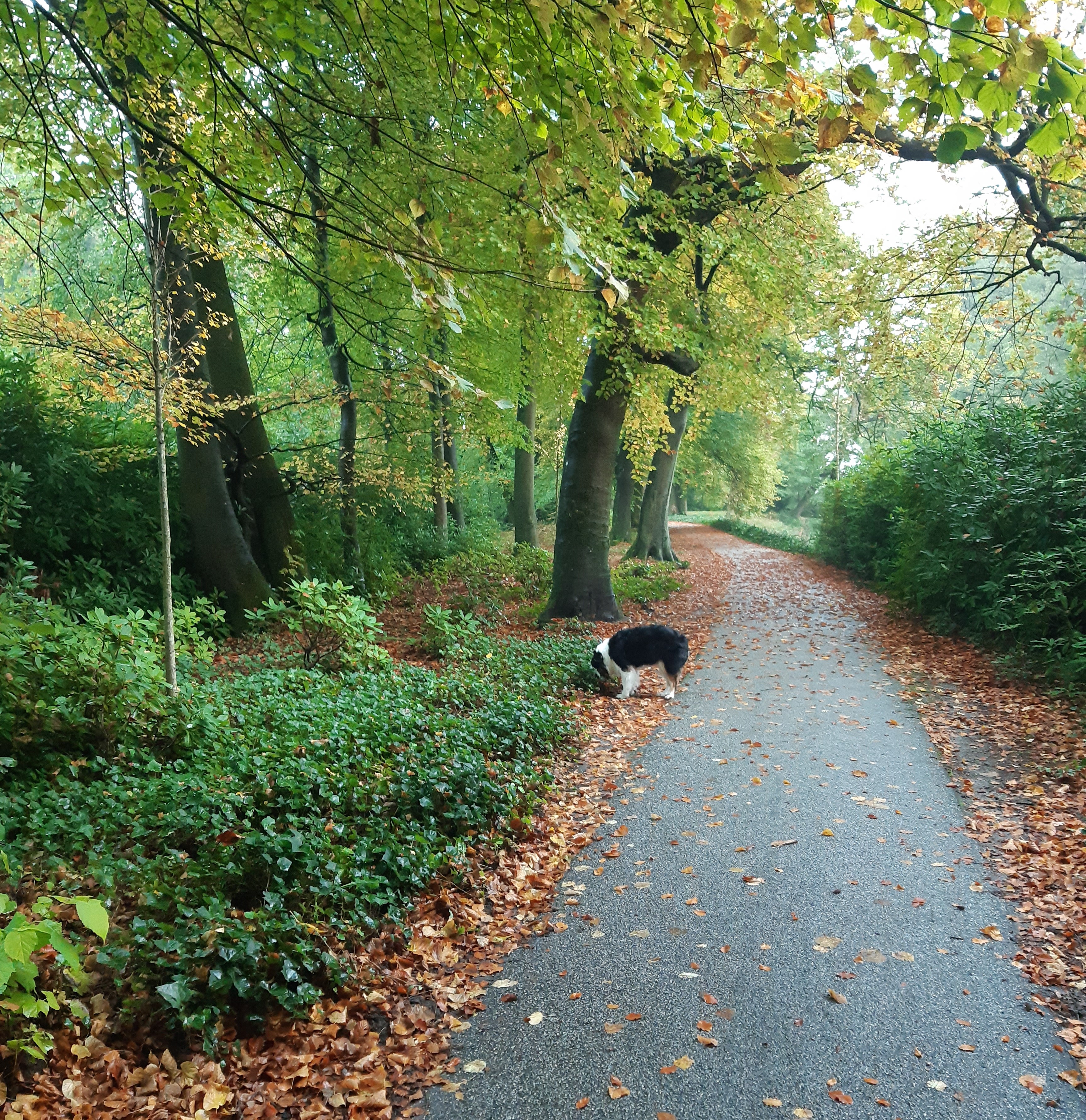 Park2jpg