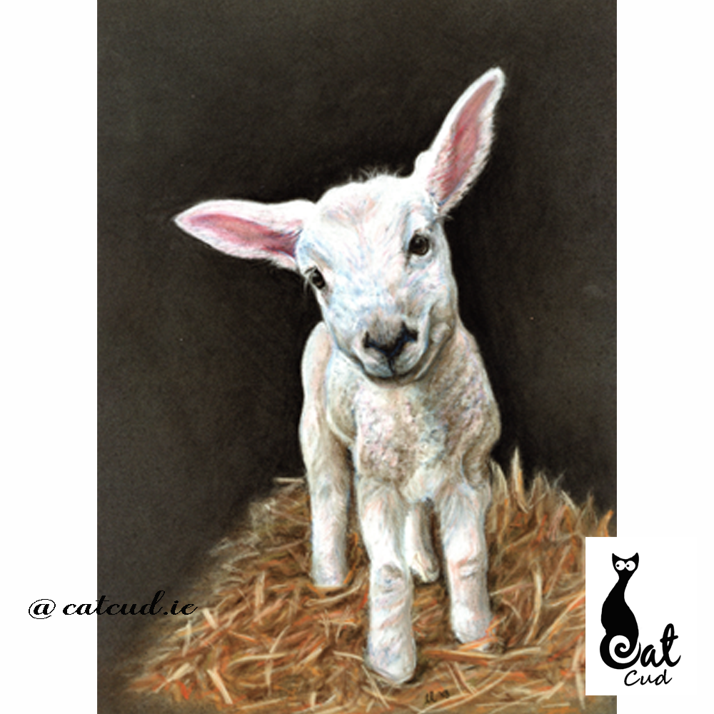 Lamb Pastel Painting