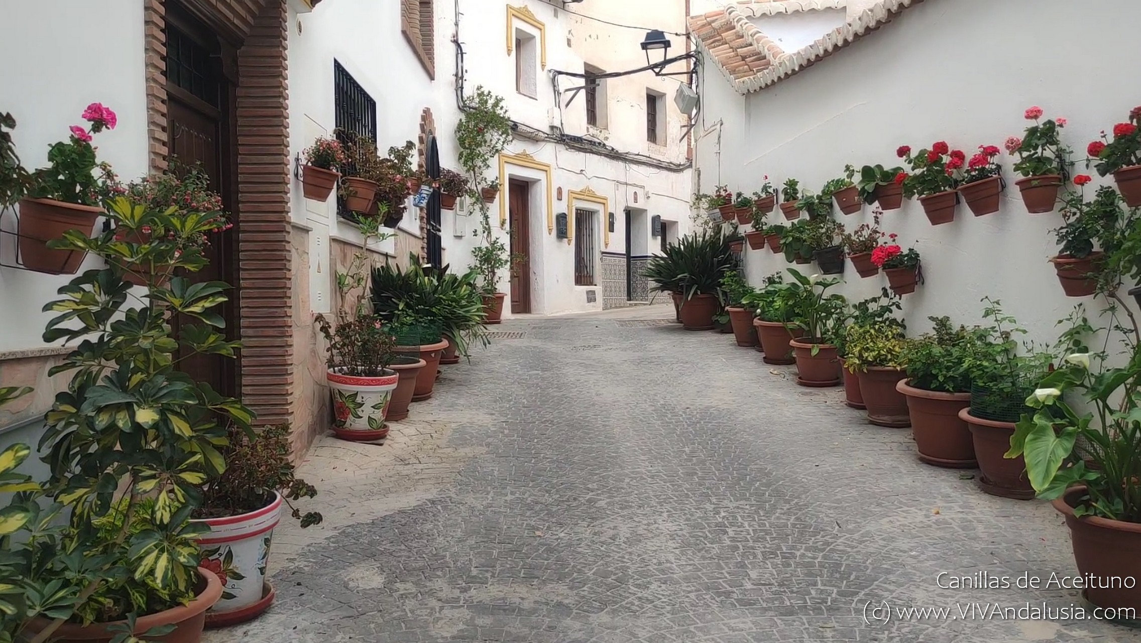 Verken het Betoverende Canillas de Aceituno: Een Juweel in Andalusië