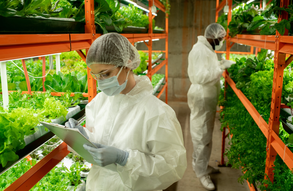 Vertical Farming in Manitoba