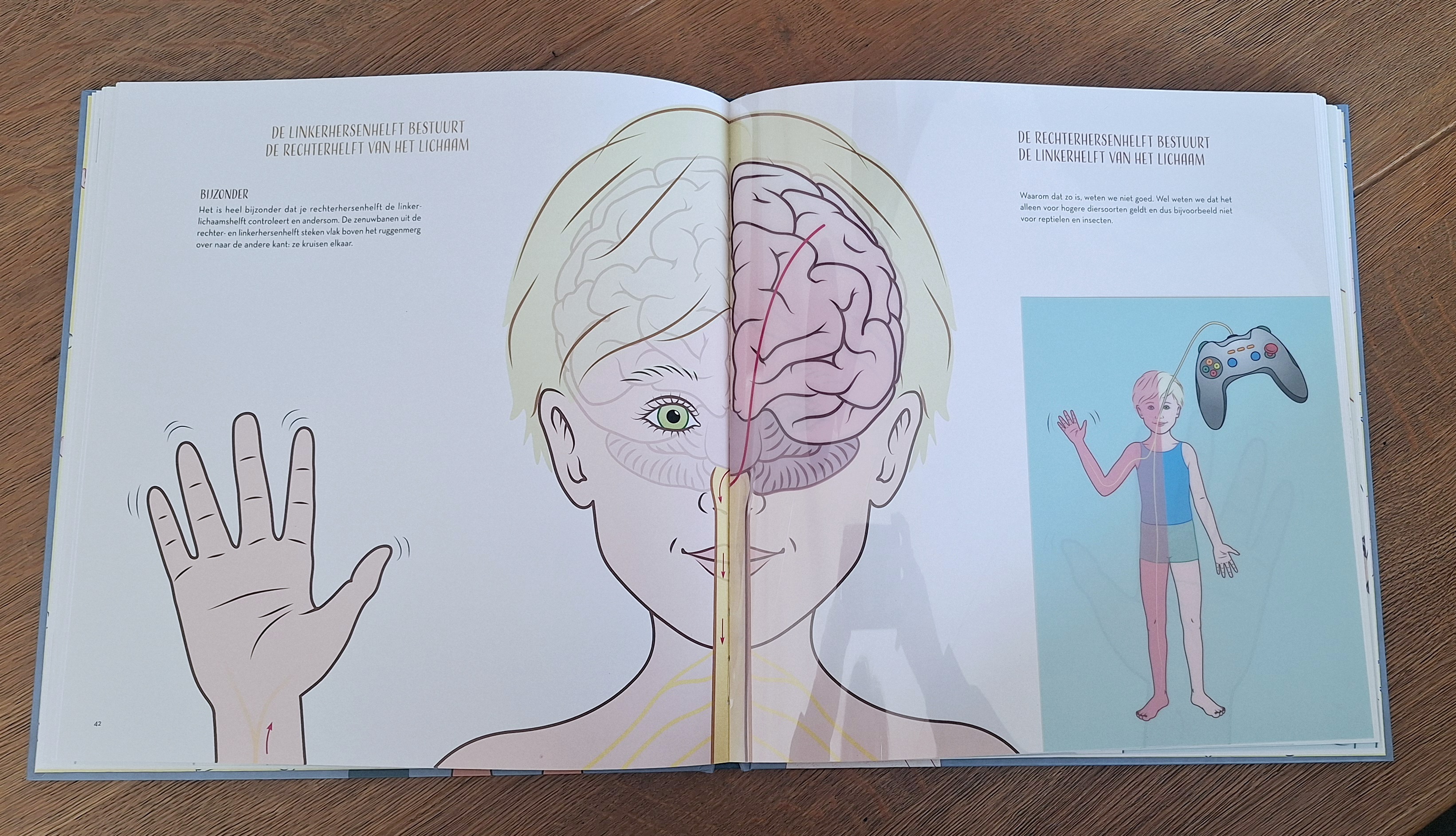 Hoe Kunnen Mijn Ogen Zien