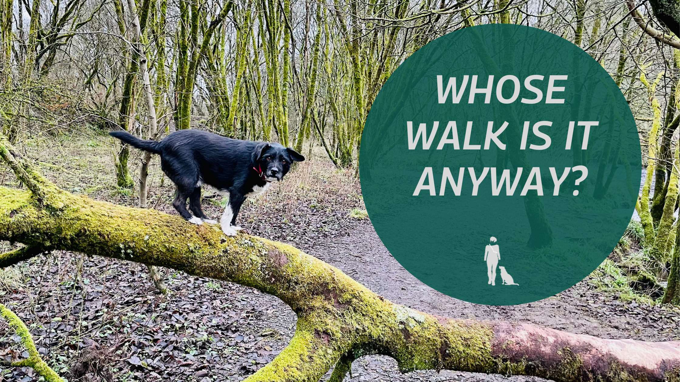 Whose Walk Is It Anyway?