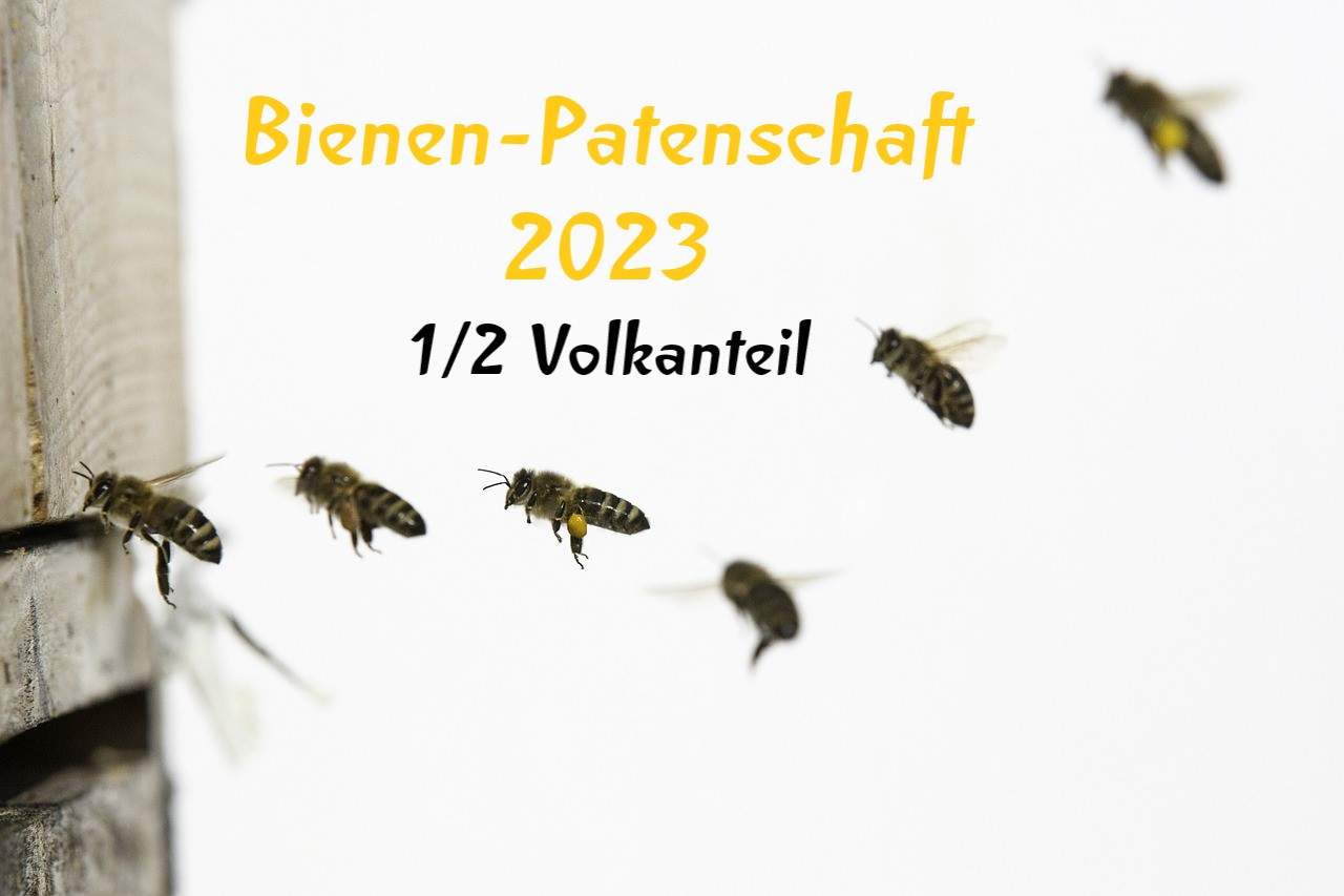 Bienen-Patenschaft 2023 - 1/2 Volkanteil