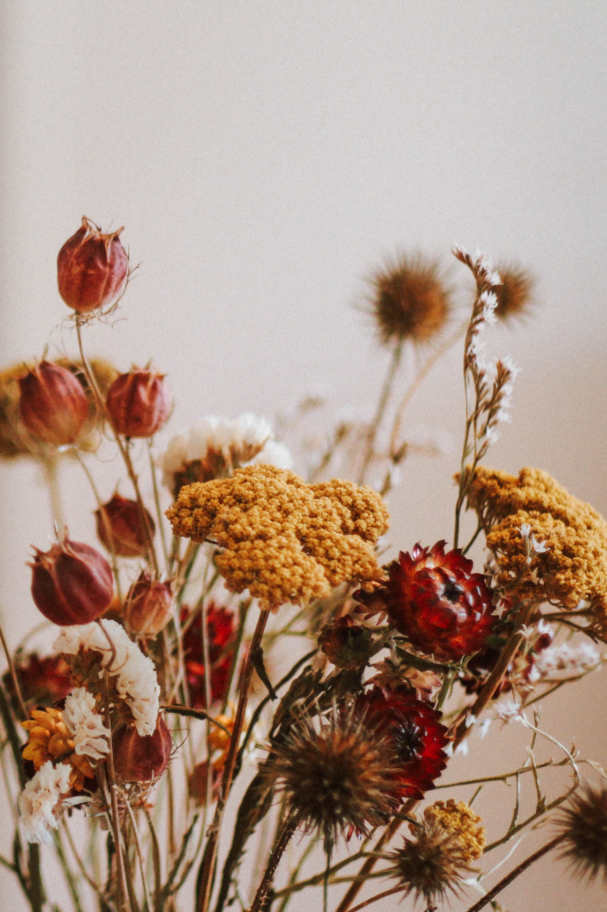 How to Preserve the Beauty of Fresh Flowers: A Guide to Drying your own Flowers